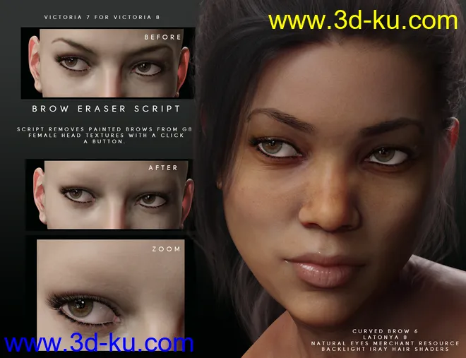 Beautiful Brows for Genesis 8 Female(s)模型的图片2