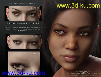 3D打印模型Beautiful Brows for Genesis 8 Female(s)的图片