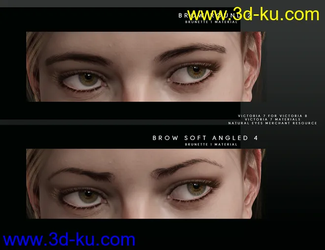 Beautiful Brows for Genesis 8 Female(s)模型的图片3