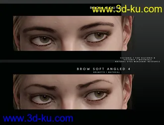 3D打印模型Beautiful Brows for Genesis 8 Female(s)的图片