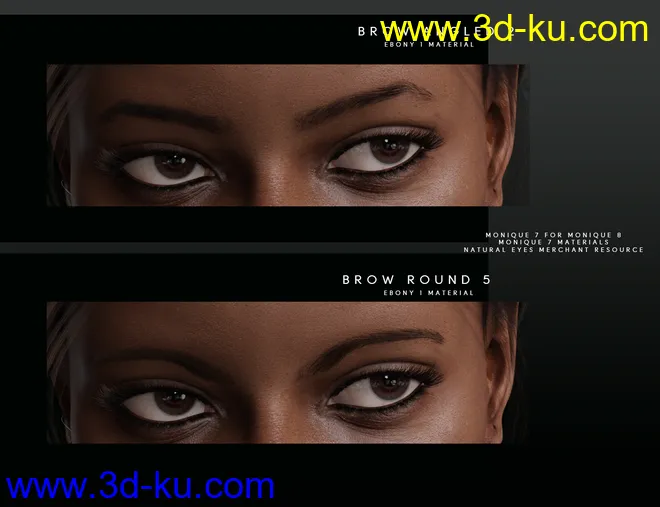 Beautiful Brows for Genesis 8 Female(s)模型的图片4