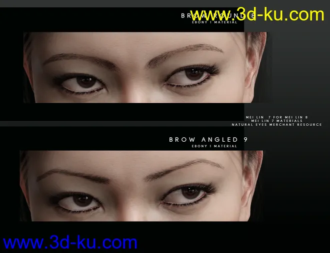 Beautiful Brows for Genesis 8 Female(s)模型的图片5