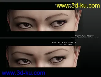 3D打印模型Beautiful Brows for Genesis 8 Female(s)的图片