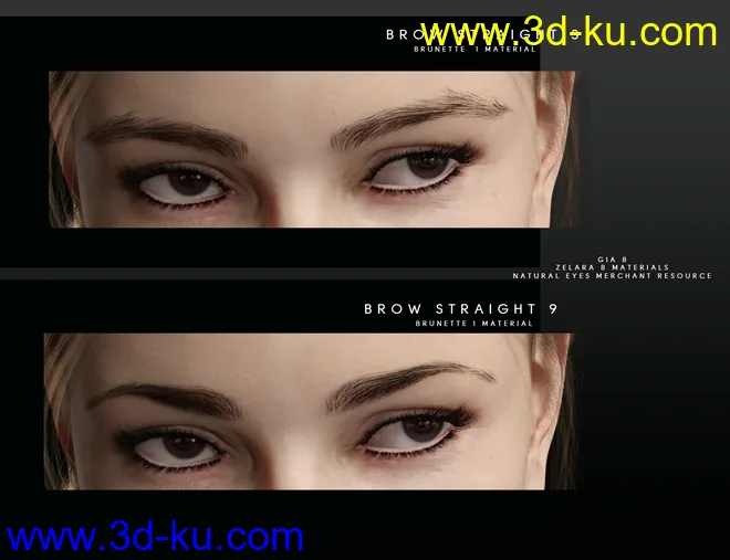Beautiful Brows for Genesis 8 Female(s)模型的图片6