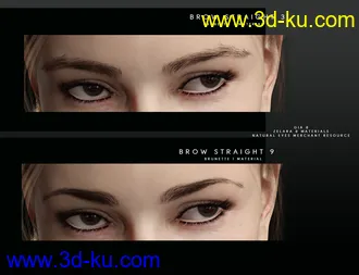 3D打印模型Beautiful Brows for Genesis 8 Female(s)的图片