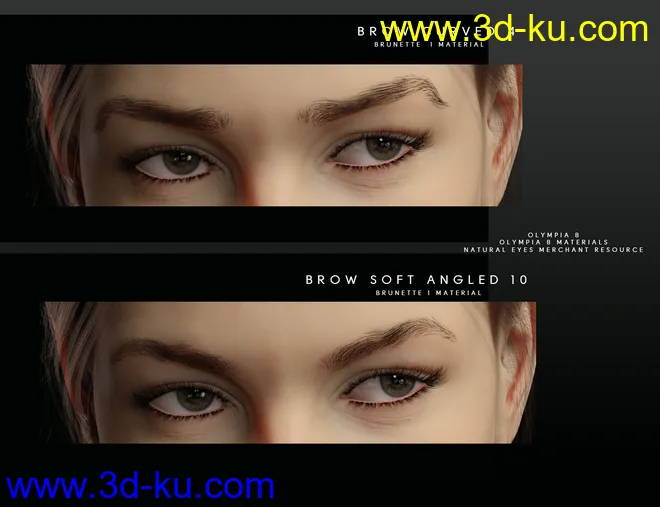 Beautiful Brows for Genesis 8 Female(s)模型的图片8