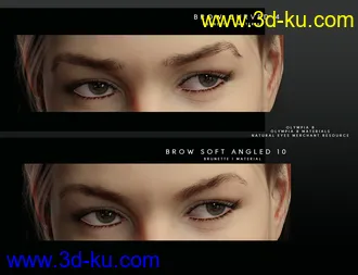 3D打印模型Beautiful Brows for Genesis 8 Female(s)的图片