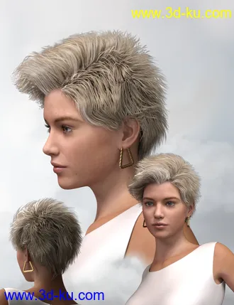 3D打印模型Bella Mane Hair for Genesis 3 and 8 Female(s)的图片
