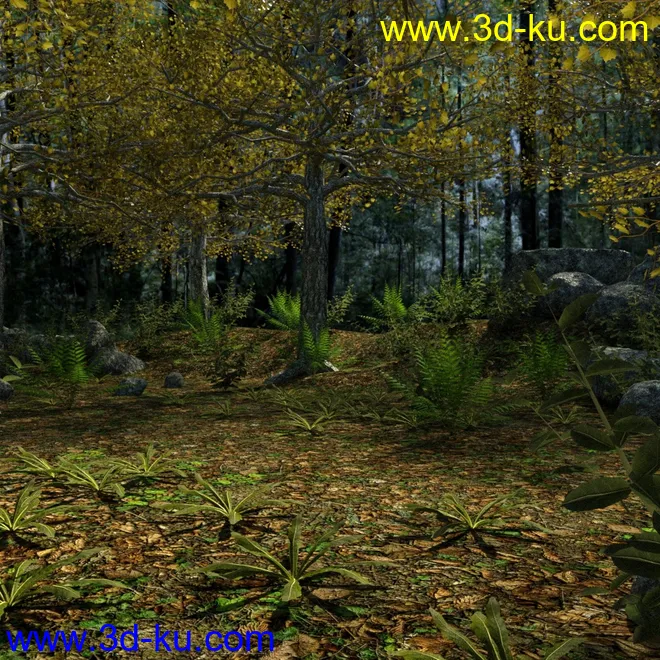 Between the Forest模型的图片4