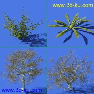 3D打印模型Between the Forest的图片