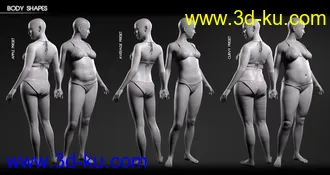 3D打印模型Body Diversity Morphs for Genesis 3 Female(s)的图片