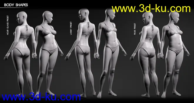 Body Diversity Morphs for Genesis 3 Female(s)模型的图片4
