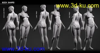 3D打印模型Body Diversity Morphs for Genesis 3 Female(s)的图片