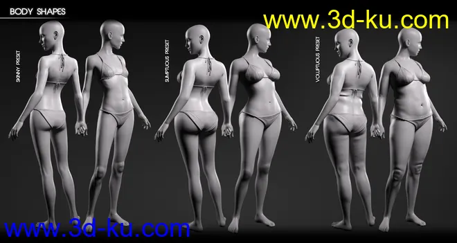 Body Diversity Morphs for Genesis 3 Female(s)模型的图片5