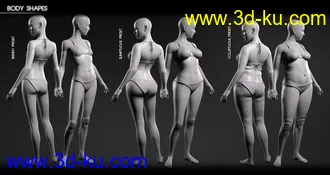 3D打印模型Body Diversity Morphs for Genesis 3 Female(s)的图片