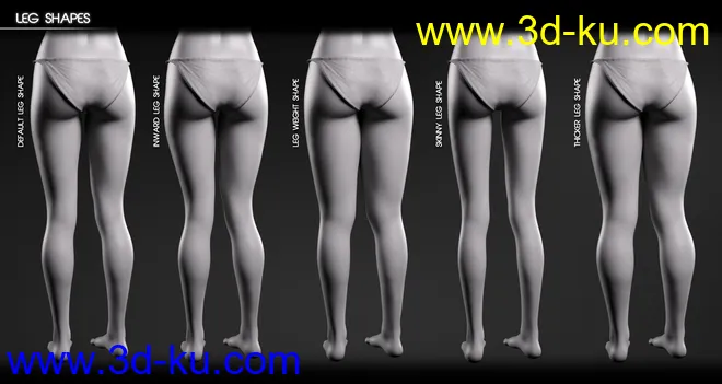 Body Diversity Morphs for Genesis 3 Female(s)模型的图片7
