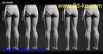 3D打印模型Body Diversity Morphs for Genesis 3 Female(s)的图片