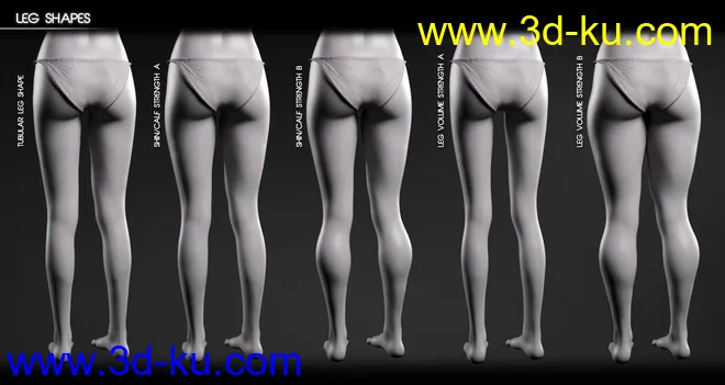 Body Diversity Morphs for Genesis 3 Female(s)模型的图片8