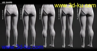 3D打印模型Body Diversity Morphs for Genesis 3 Female(s)的图片