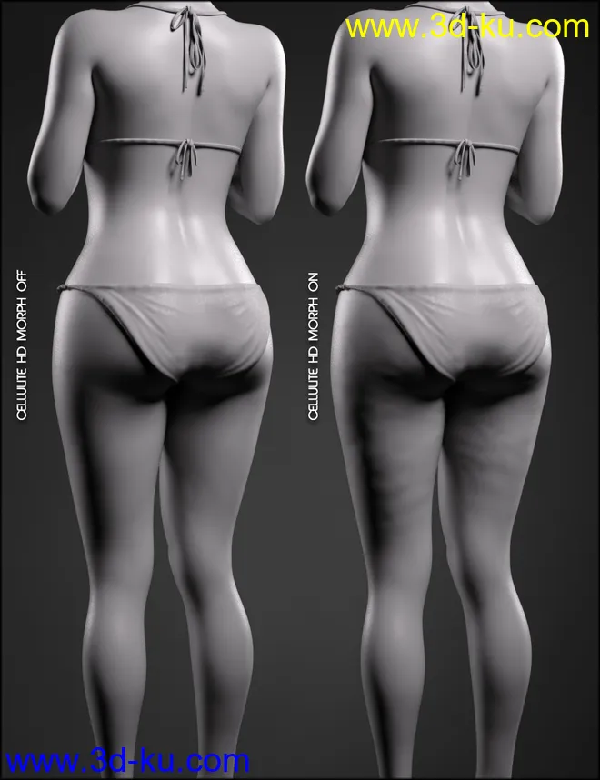 Body Diversity Morphs for Genesis 3 Female(s)模型的图片9