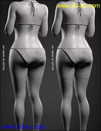 3D打印模型Body Diversity Morphs for Genesis 3 Female(s)的图片