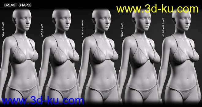 Body Diversity Morphs for Genesis 3 Female(s)模型的图片10