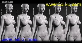 3D打印模型Body Diversity Morphs for Genesis 3 Female(s)的图片