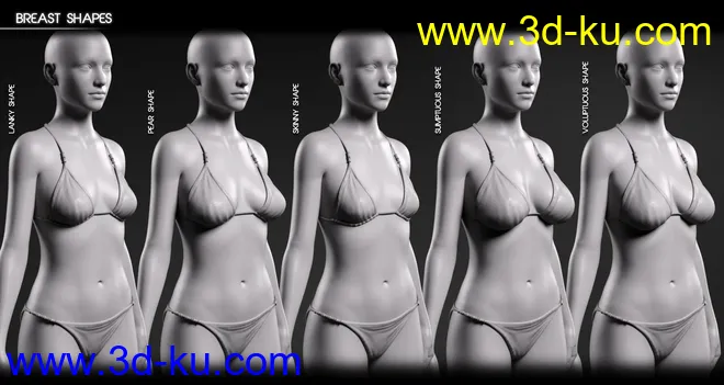 Body Diversity Morphs for Genesis 3 Female(s)模型的图片11