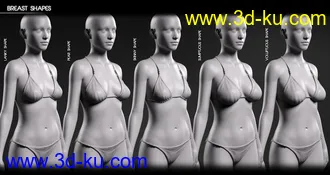 3D打印模型Body Diversity Morphs for Genesis 3 Female(s)的图片