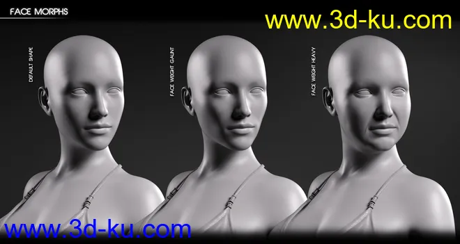 Body Diversity Morphs for Genesis 3 Female(s)模型的图片13