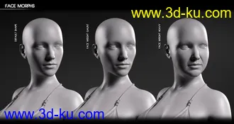 3D打印模型Body Diversity Morphs for Genesis 3 Female(s)的图片