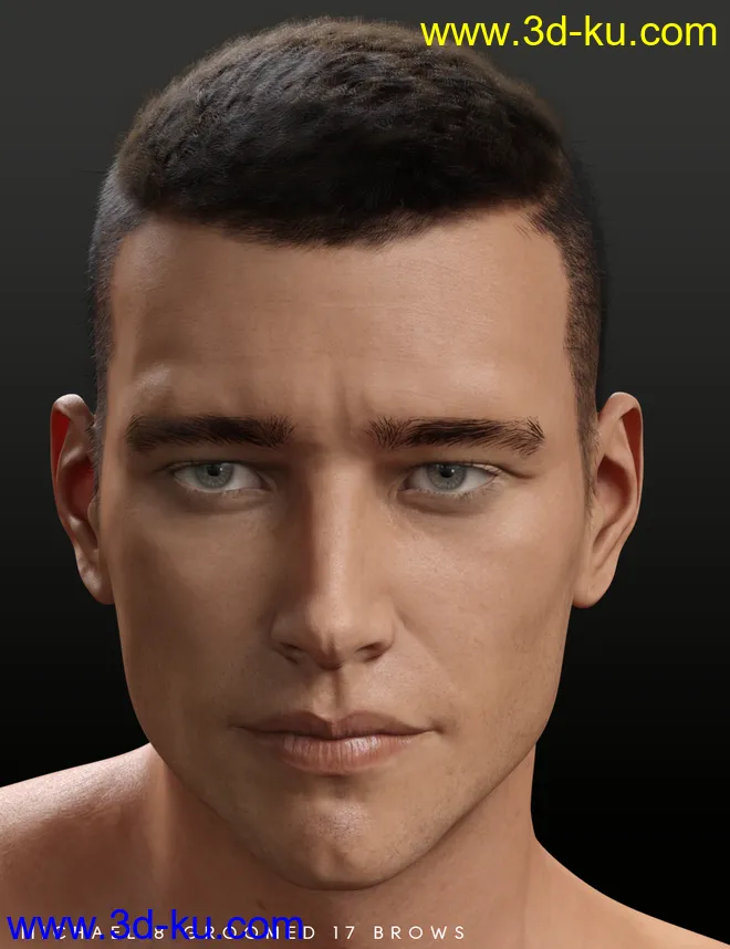 Bold Brows Fibermesh For Genesis 8 Males模型的图片3
