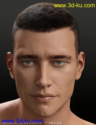 3D打印模型Bold Brows Fibermesh For Genesis 8 Males的图片