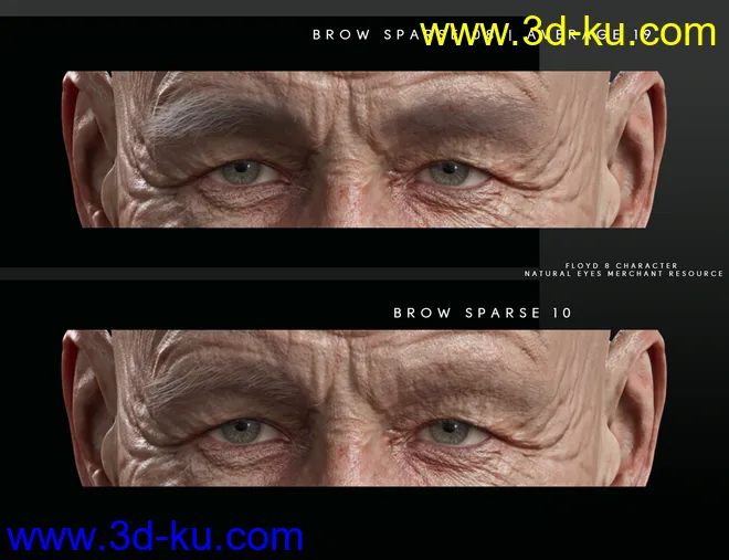 Bold Brows Fibermesh For Genesis 8 Males模型的图片4