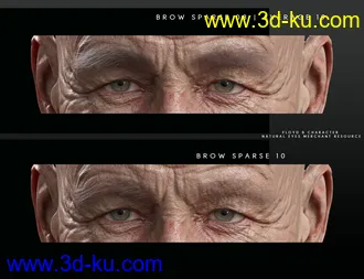 3D打印模型Bold Brows Fibermesh For Genesis 8 Males的图片