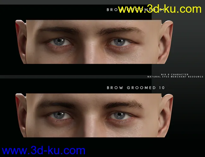 Bold Brows Fibermesh For Genesis 8 Males模型的图片5