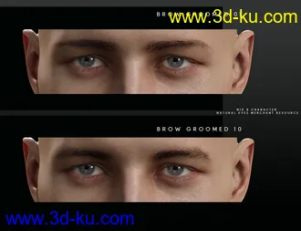 3D打印模型Bold Brows Fibermesh For Genesis 8 Males的图片