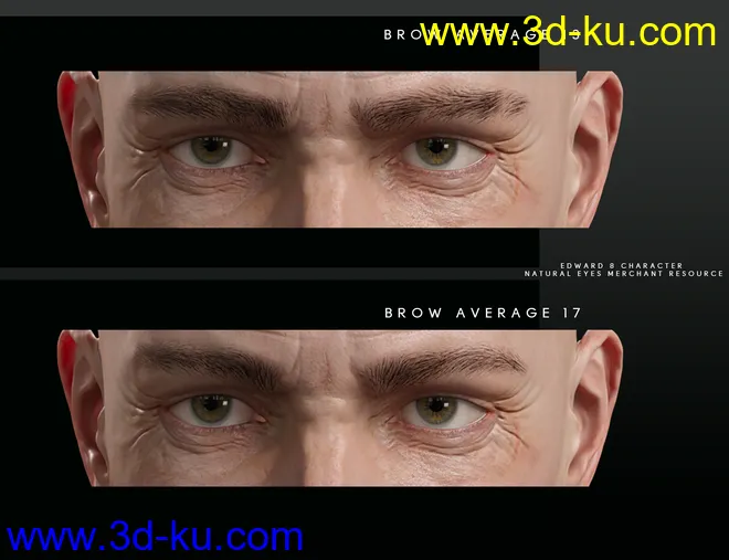 Bold Brows Fibermesh For Genesis 8 Males模型的图片6