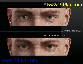 3D打印模型Bold Brows Fibermesh For Genesis 8 Males的图片