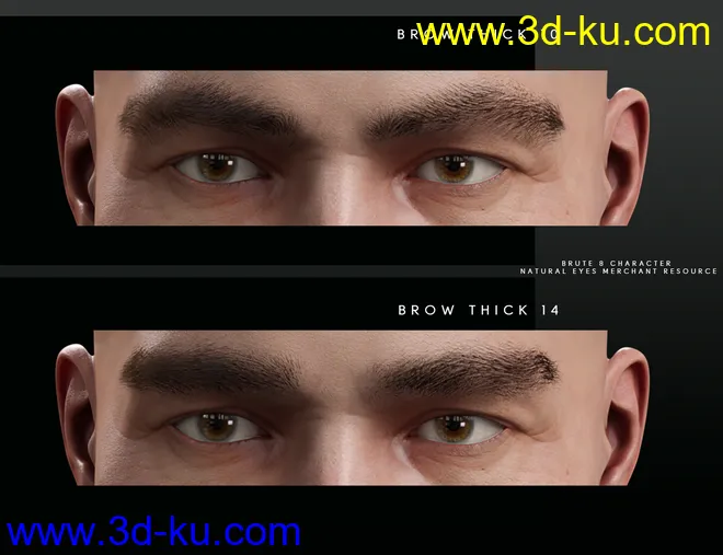 Bold Brows Fibermesh For Genesis 8 Males模型的图片7