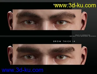 3D打印模型Bold Brows Fibermesh For Genesis 8 Males的图片