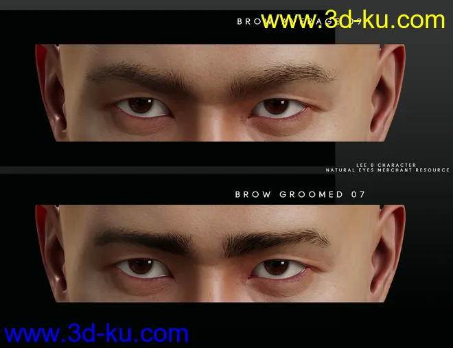 Bold Brows Fibermesh For Genesis 8 Males模型的图片8