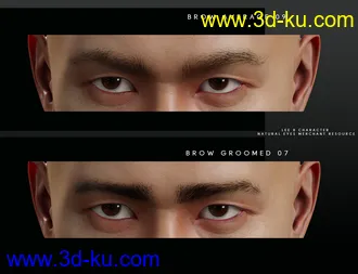 3D打印模型Bold Brows Fibermesh For Genesis 8 Males的图片