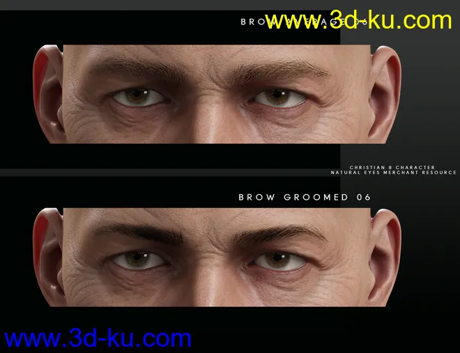 Bold Brows Fibermesh For Genesis 8 Males模型的图片9