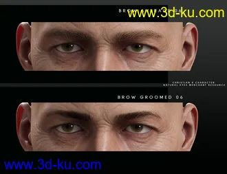3D打印模型Bold Brows Fibermesh For Genesis 8 Males的图片