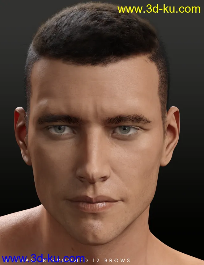 Bold Brows Fibermesh For Genesis 8 Males模型的图片10