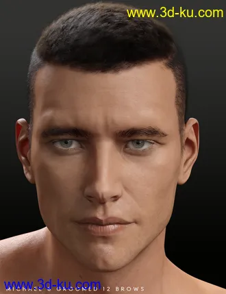 3D打印模型Bold Brows Fibermesh For Genesis 8 Males的图片