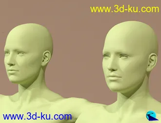 3D打印模型Character Converter from Genesis 2 Female to Genesis 8 Female的图片
