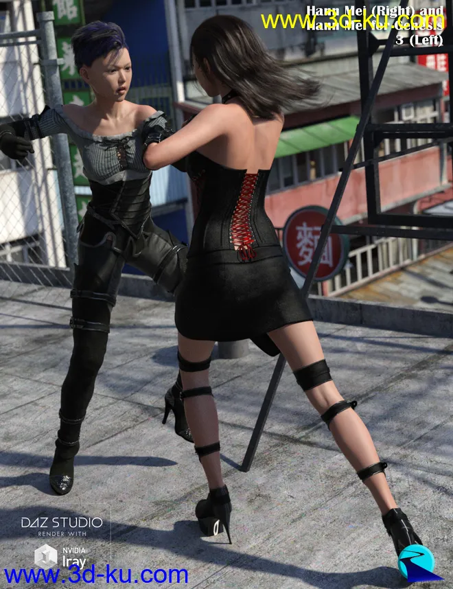 Character Converter from Genesis 8 Female to Genesis 3 Female模型的图片2