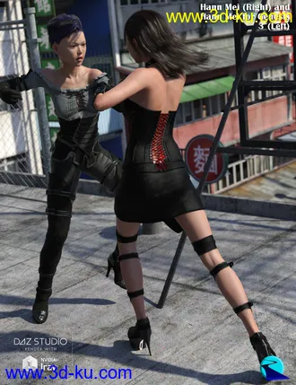 3D打印模型Character Converter from Genesis 8 Female to Genesis 3 Female的图片